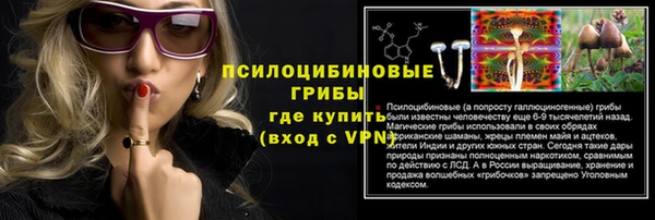 МДМА Бородино
