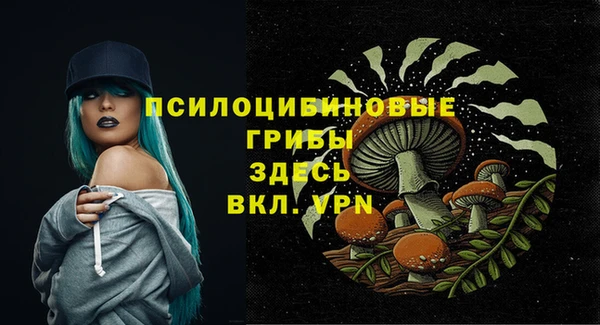 МДМА Бородино